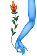Logo: Hand des Medizinbuddha mit Heilpflanze